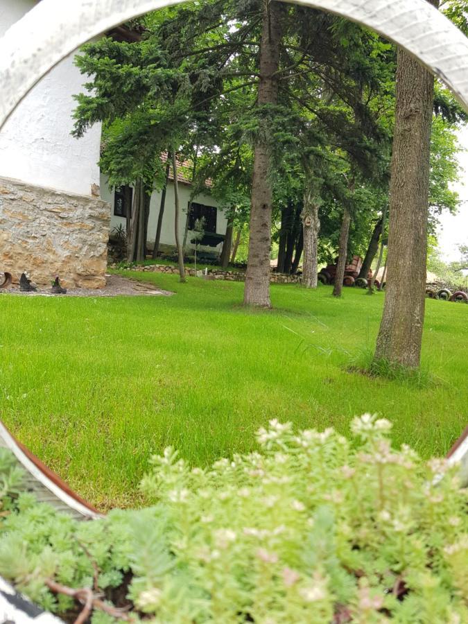 Konaciste Mali Izvor Boljevac Exterior foto