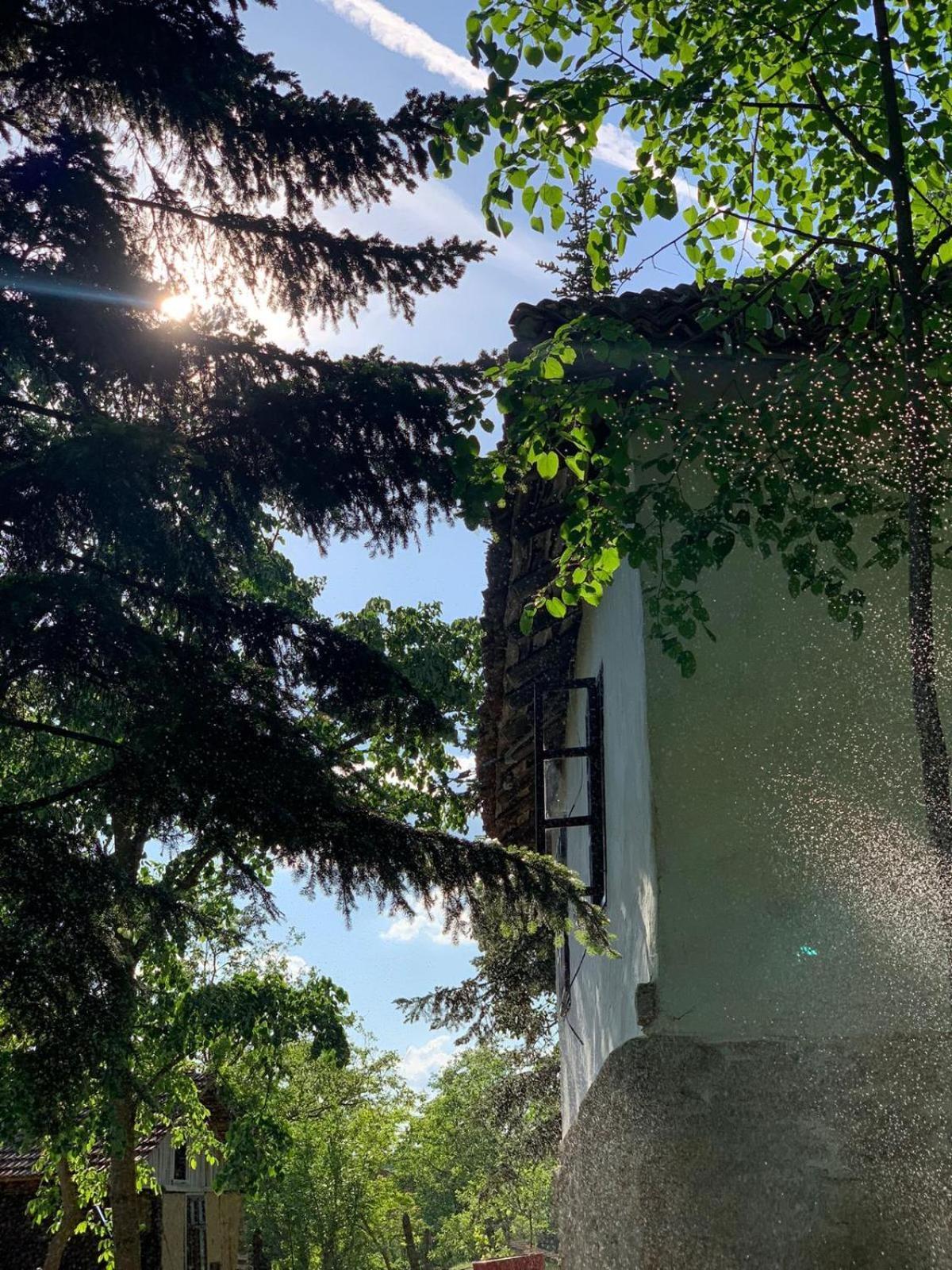 Konaciste Mali Izvor Boljevac Exterior foto